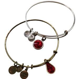 SET OF 2 ALEX and ANI RED BANGLE BRACELET RUBY GARNET JULY JANUARY BIRTHSTONE